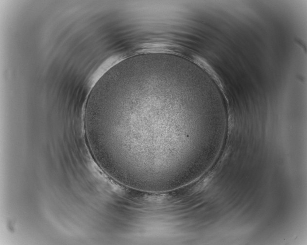 X0000100841386200806201140