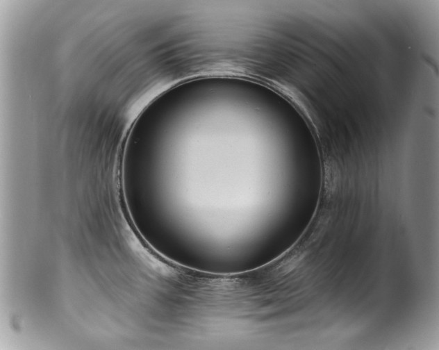 X0000100841387200806201140