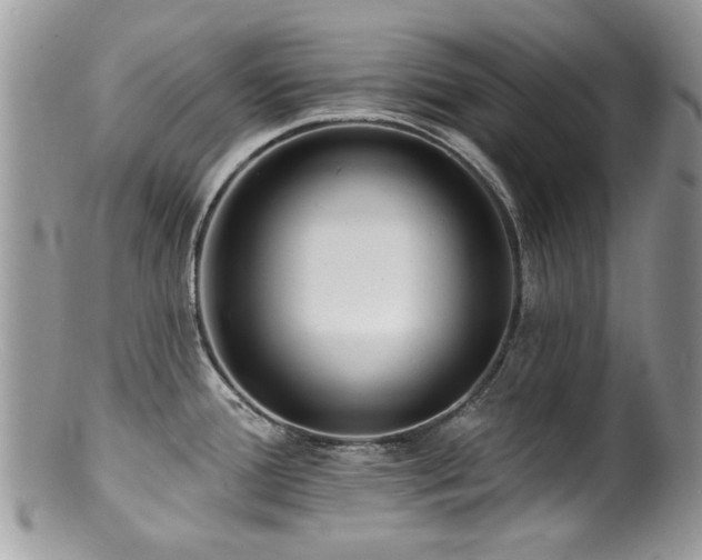 X0000100841388200806201140