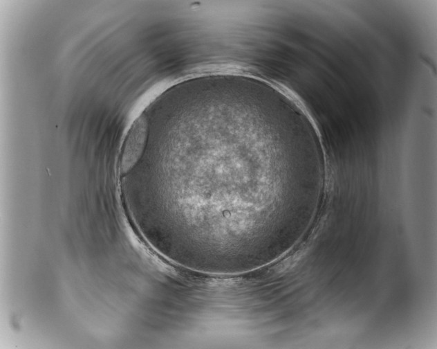 X0000100841389200806201140