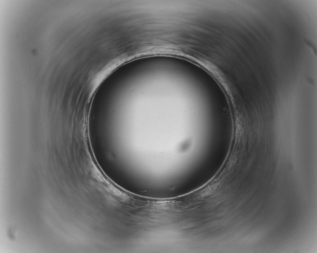 X0000100841390200806201140