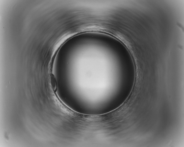 X0000100841392200806201140