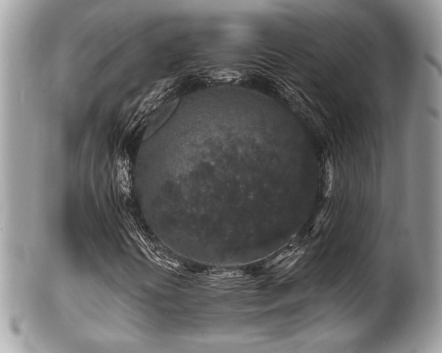 X0000100841394200806201139