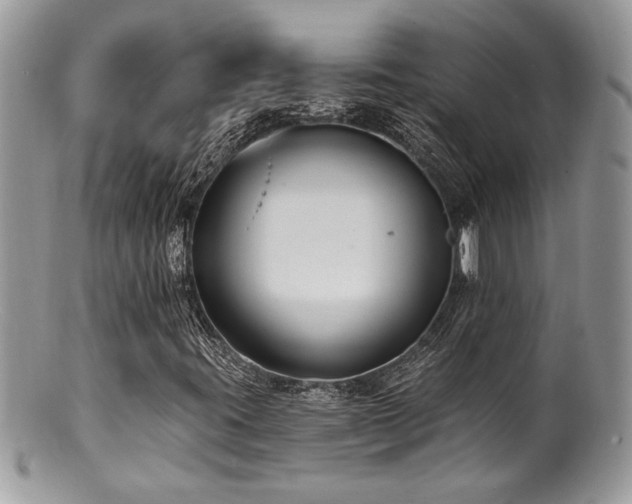 X0000100841395200806201139