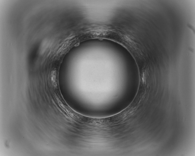 X0000100841396200806201139