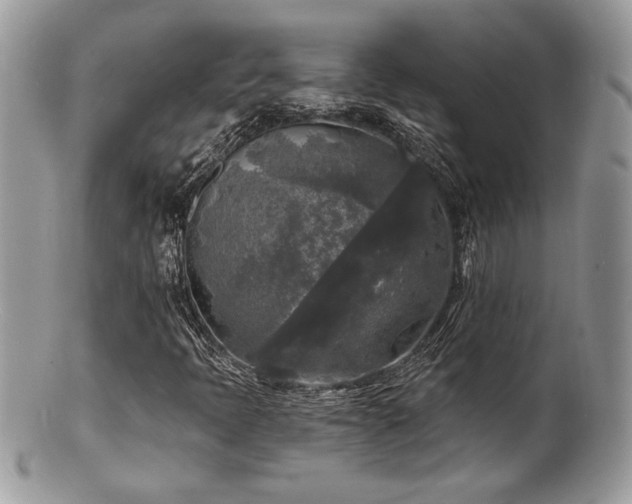 X0000100841397200806201139