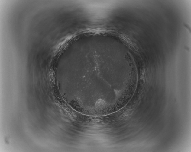 X0000100841398200806201139