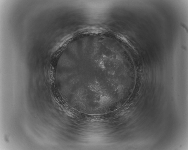 X0000100841399200806201139