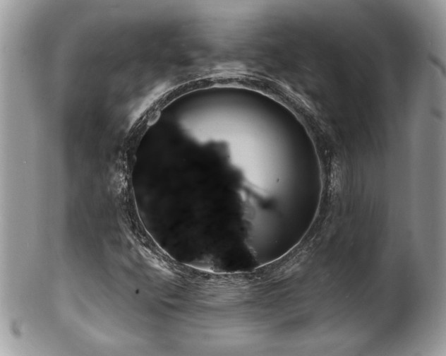 X0000100841400200806201139