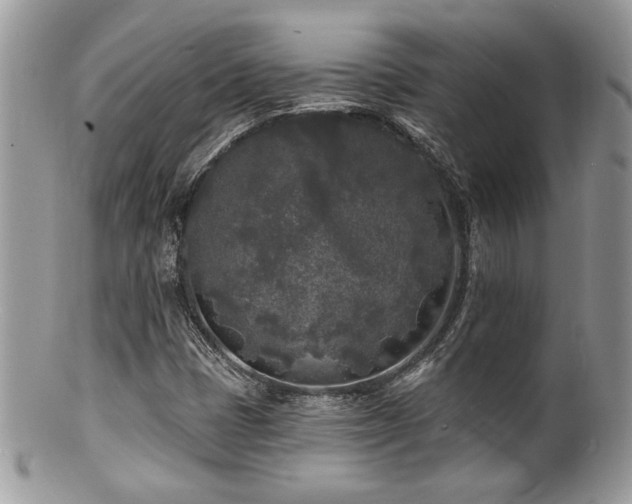 X0000100841401200806201139