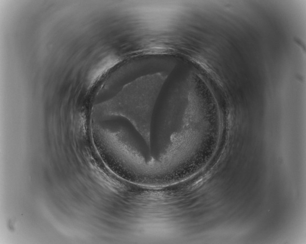 X0000100841402200806201139