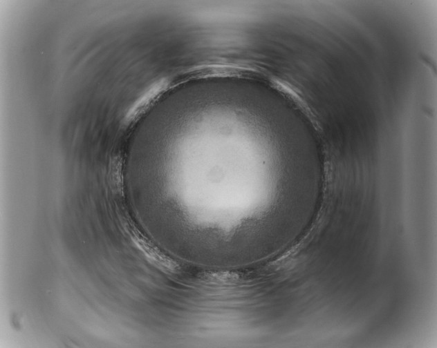 X0000100841403200806201139