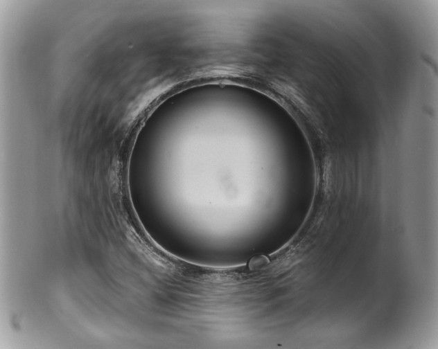 X0000100841404200806201139