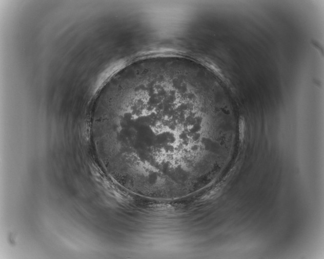 X0000100841405200806201139