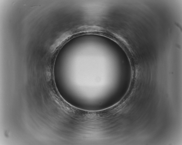 X0000100841407200806201140