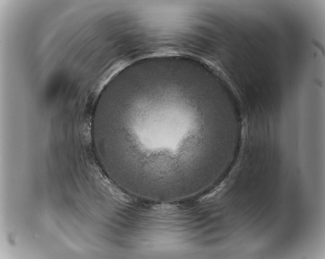 X0000100841409200806201140