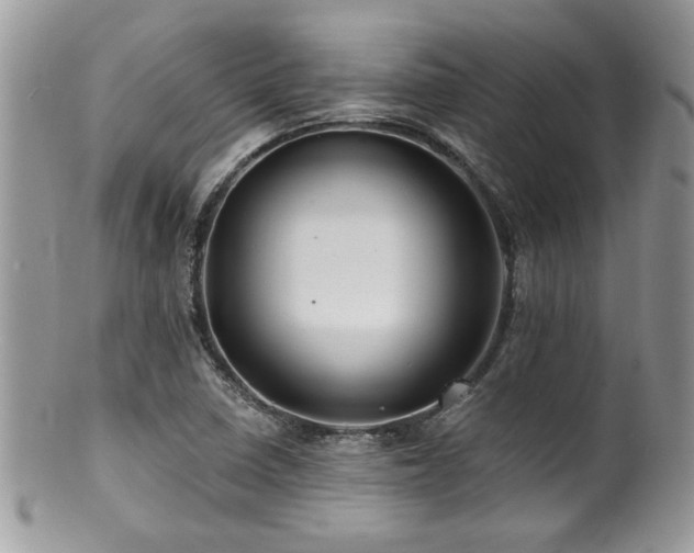 X0000100841410200806201140