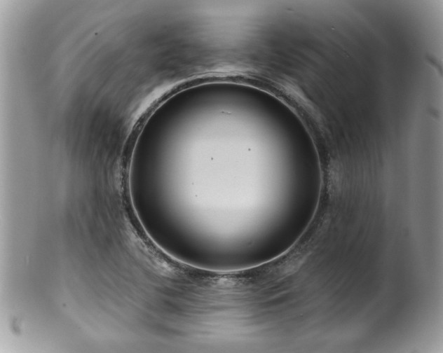 X0000100841412200806201140