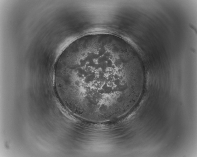 X0000100841413200806201140