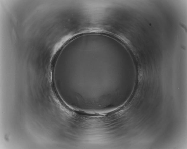 X0000100841414200806201140