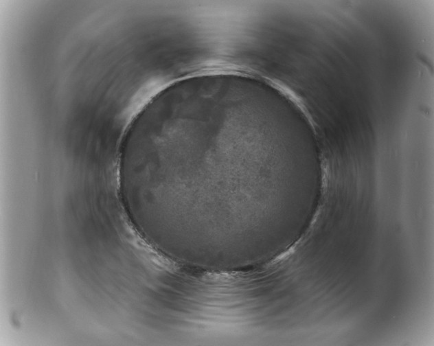 X0000100841415200806201140