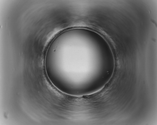 X0000100841416200806201140