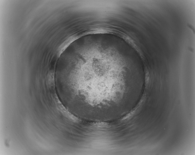 X0000100841417200806201140