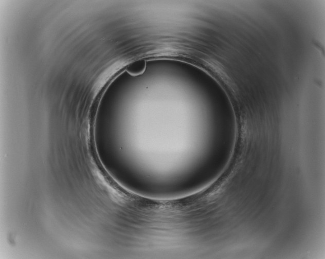 X0000100841418200806201140