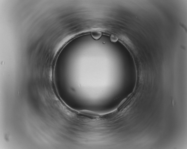 X0000100841420200806201140