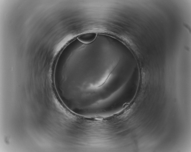 X0000100841422200806201140