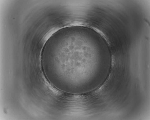 X0000100841423200806201140