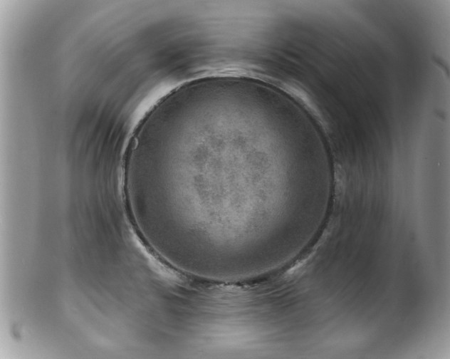 X0000100841424200806201140