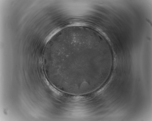 X0000100841425200806201140