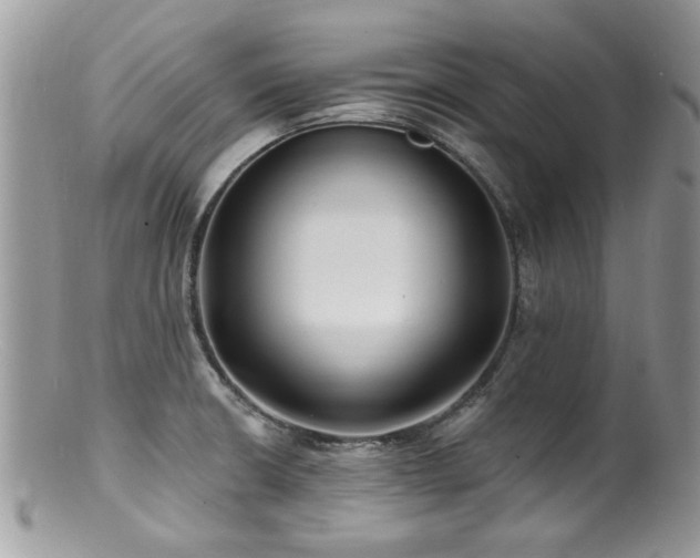 X0000100841426200806201140