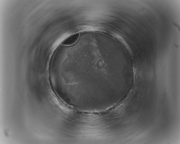 X0000100841427200806201140