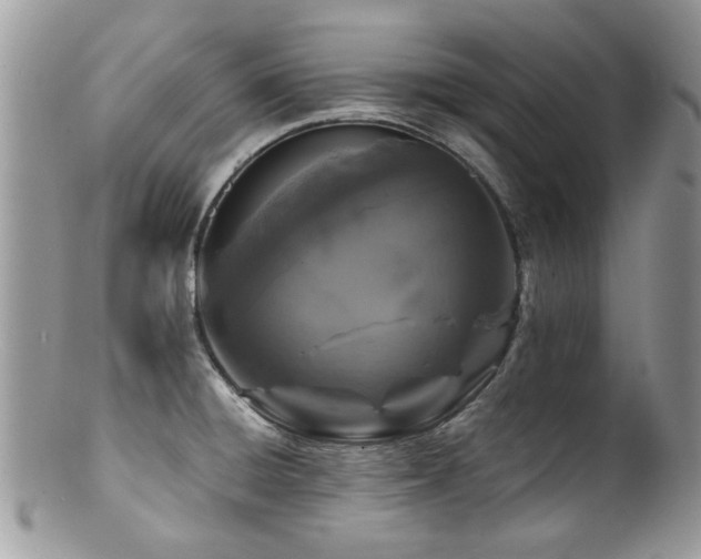 X0000100841428200806201140