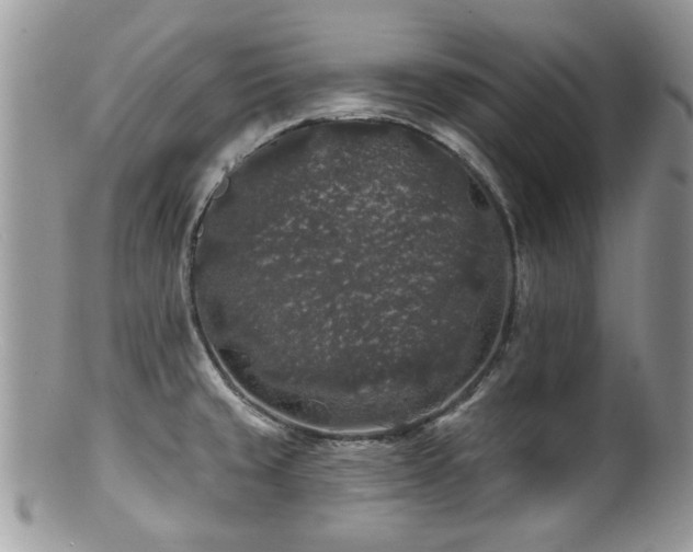 X0000100841429200806201140