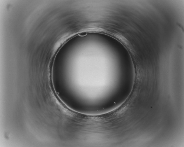 X0000100841430200806201140