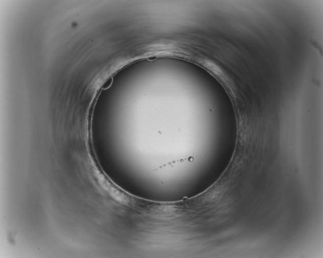 X0000100841431200806201140