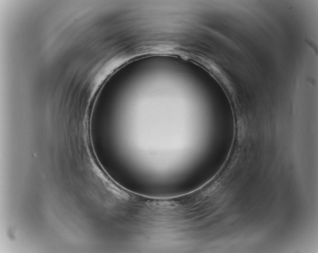 X0000100841432200806201140