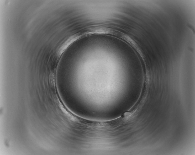 X0000100841433200806201140