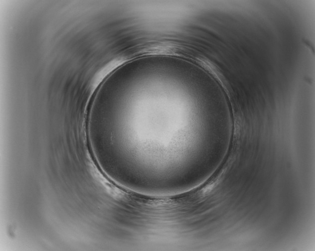 X0000100841434200806201140