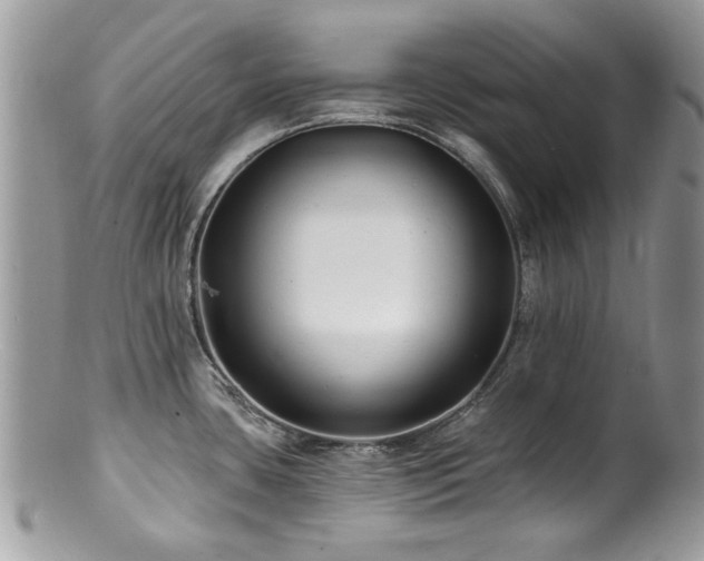 X0000100841435200806201140