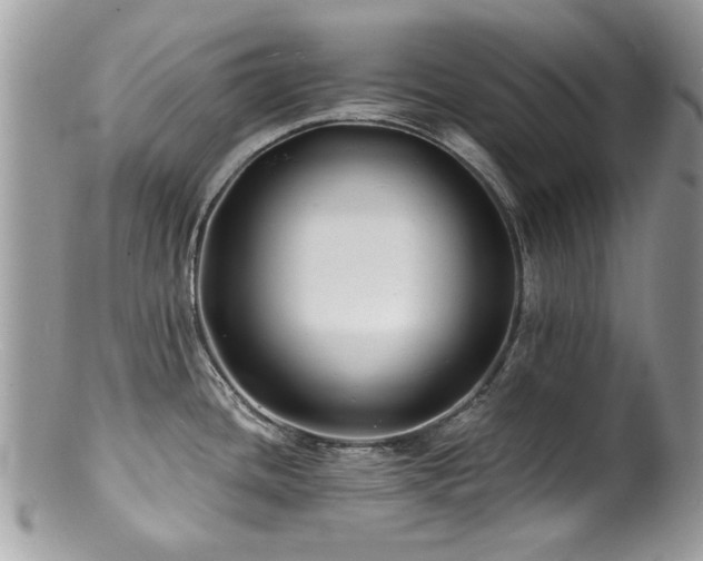 X0000100841436200806201140