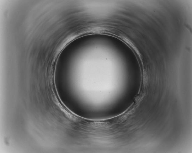 X0000100841437200806201140