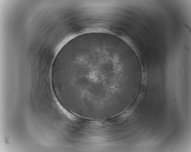 X0000100841438200806201140