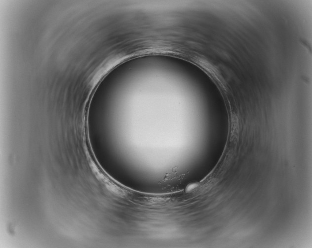 X0000100841439200806201140