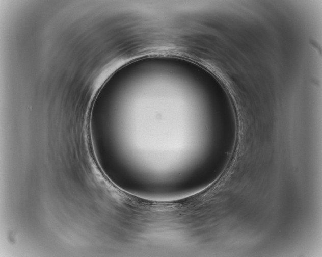 X0000100841440200806201140