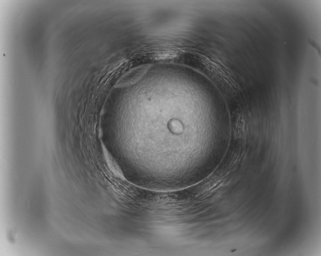 X0000100841441200806201139