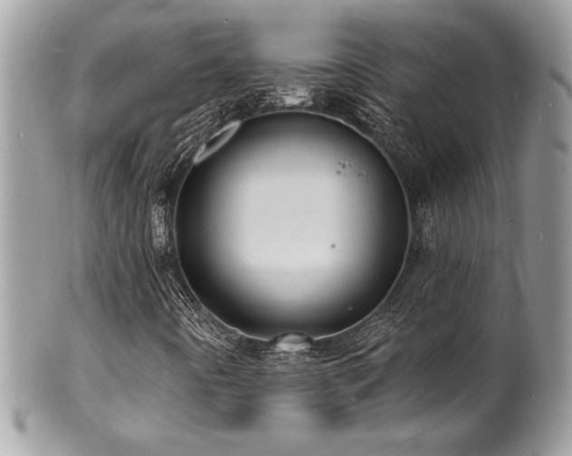 X0000100841442200806201139